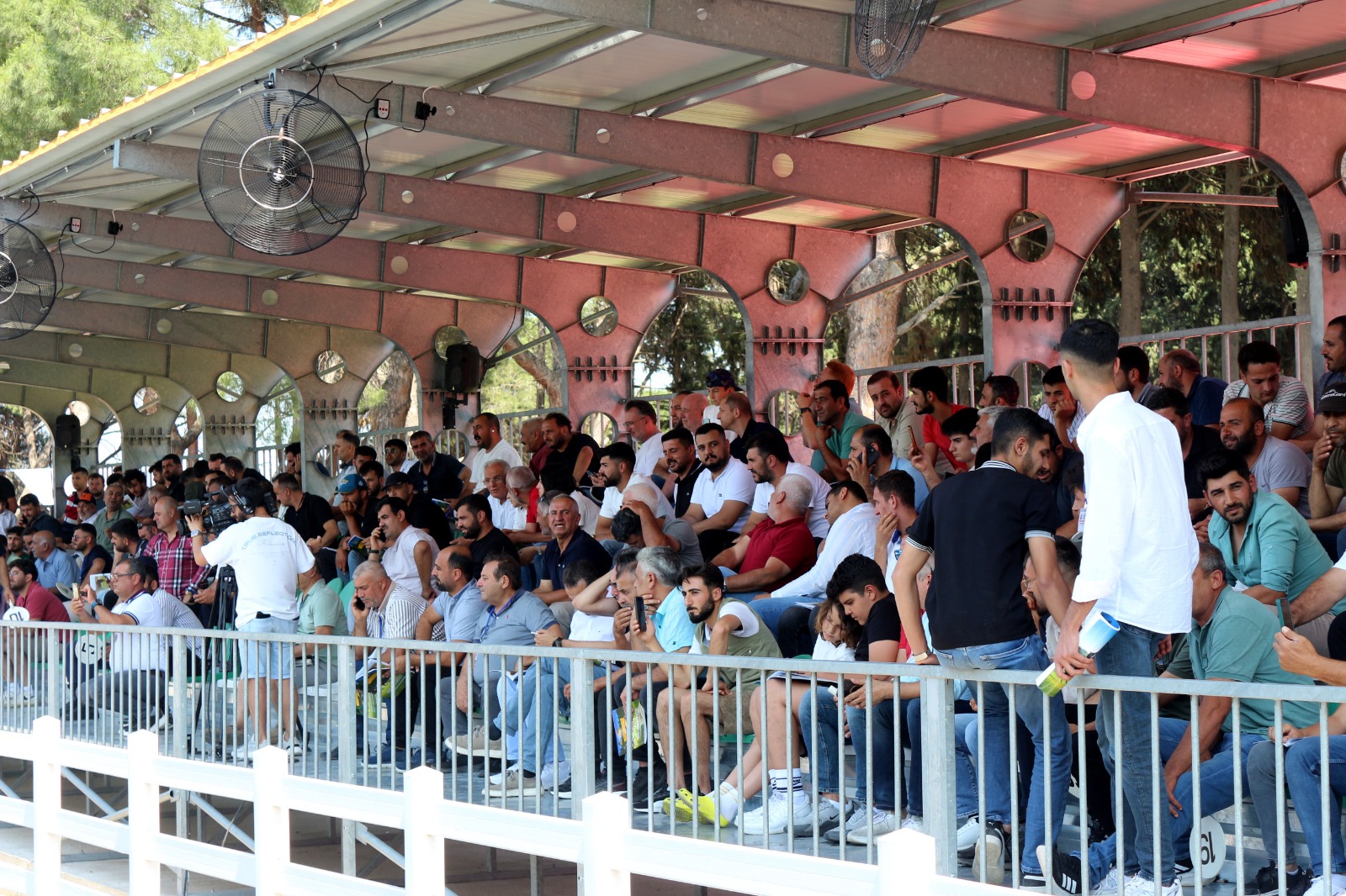 TİGEM, tay satışından tek seferde 31 milyon lira gelir elde etti - Görsel 5