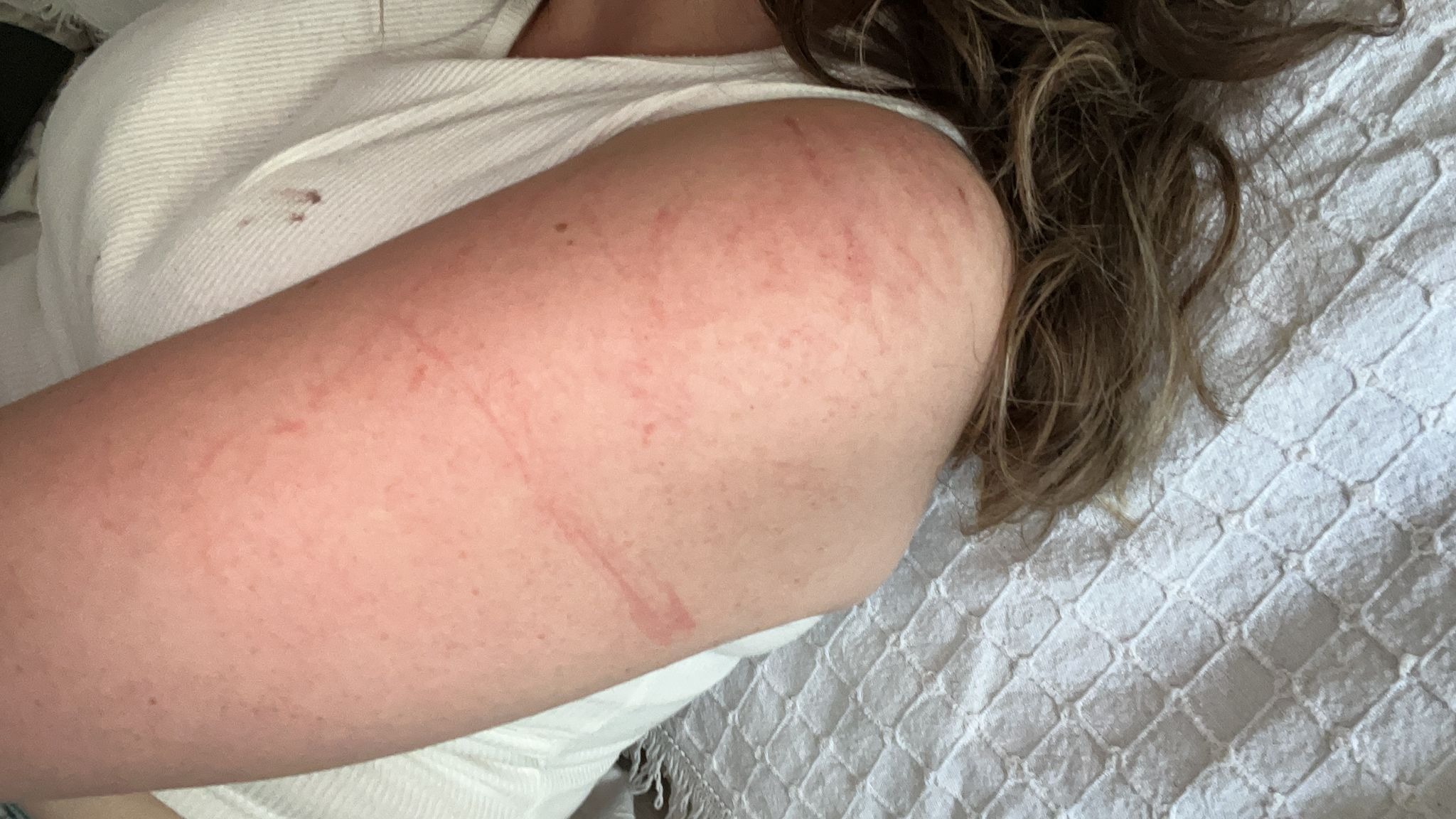 Bursa'da Boğazına bıçak dayadığı kadının 310 lirasını alan gaspçı, sahte sanıp bilezikleri istememiş - Görsel 4