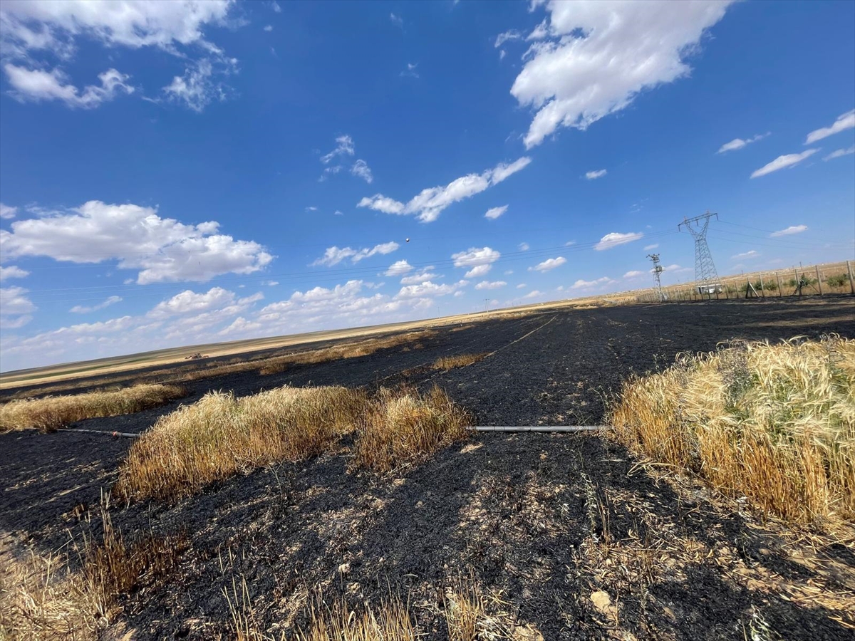 Konya'da buğday ekili arazide çıkan yangın söndürüldü - Görsel 1