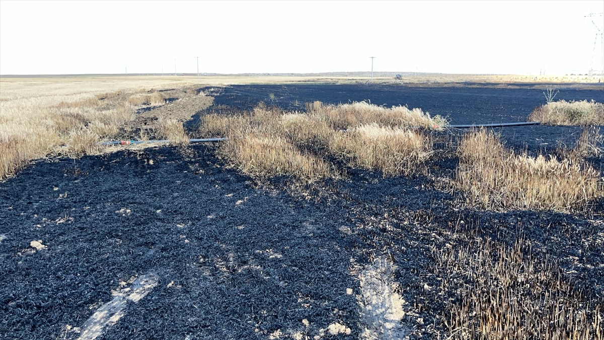 Konya'da buğday ekili arazide çıkan yangın söndürüldü - Görsel 2