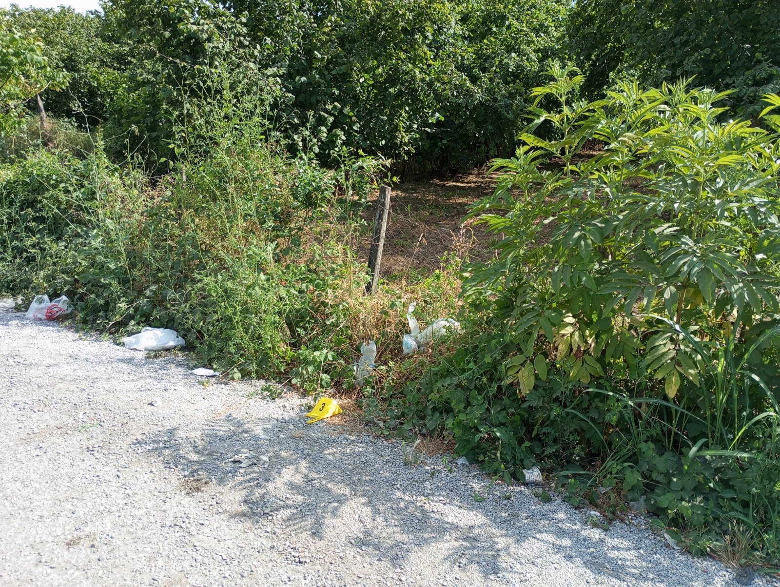 Samsun - Polis, sağlık kontrolüne götürülürken kaçmak isteyen tutukluyu kalçasından vurdu - Görsel 1