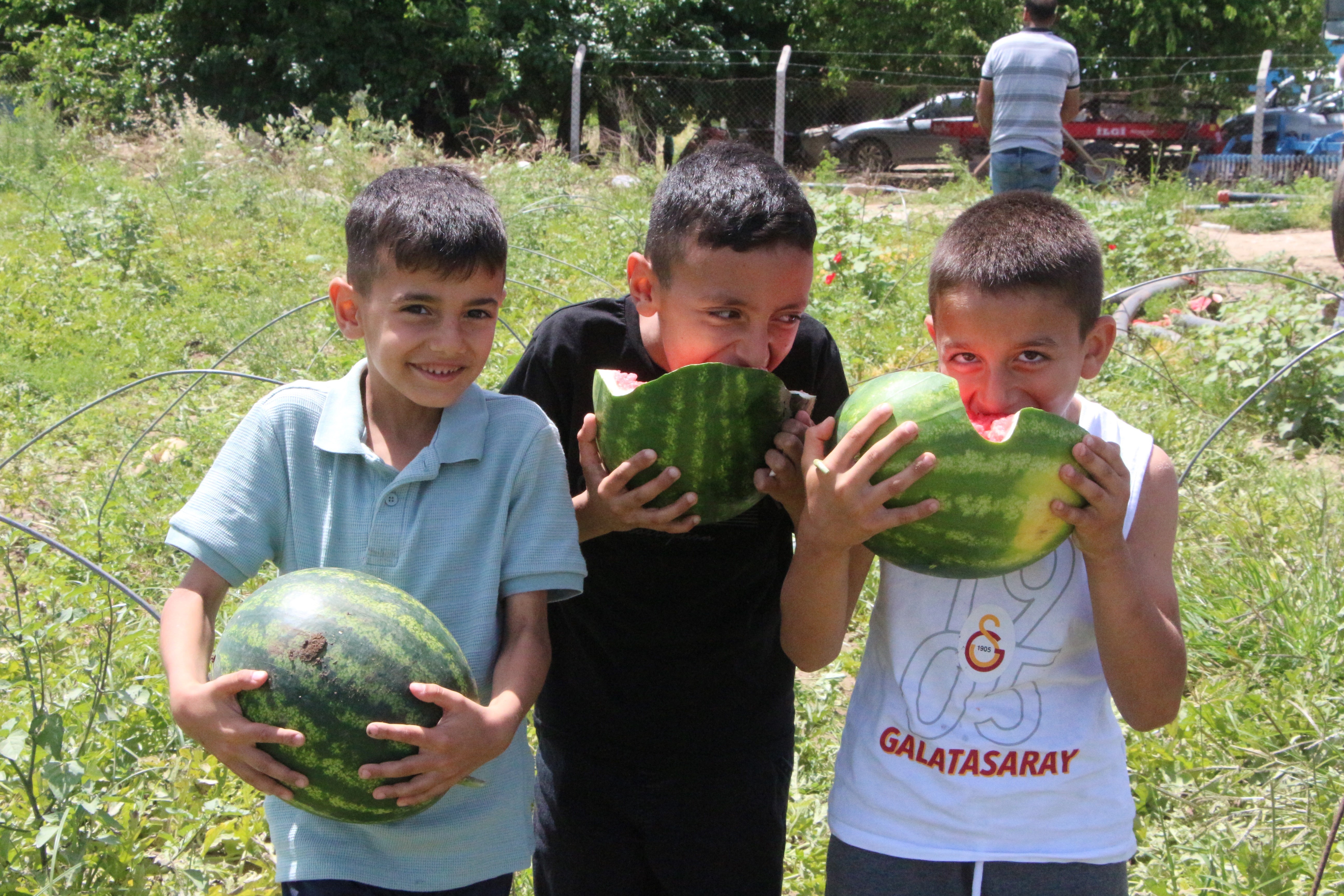 Adana'da karpuzun tarlada kilosu 13 TL'den 5 TL'ye düştü - Görsel 4