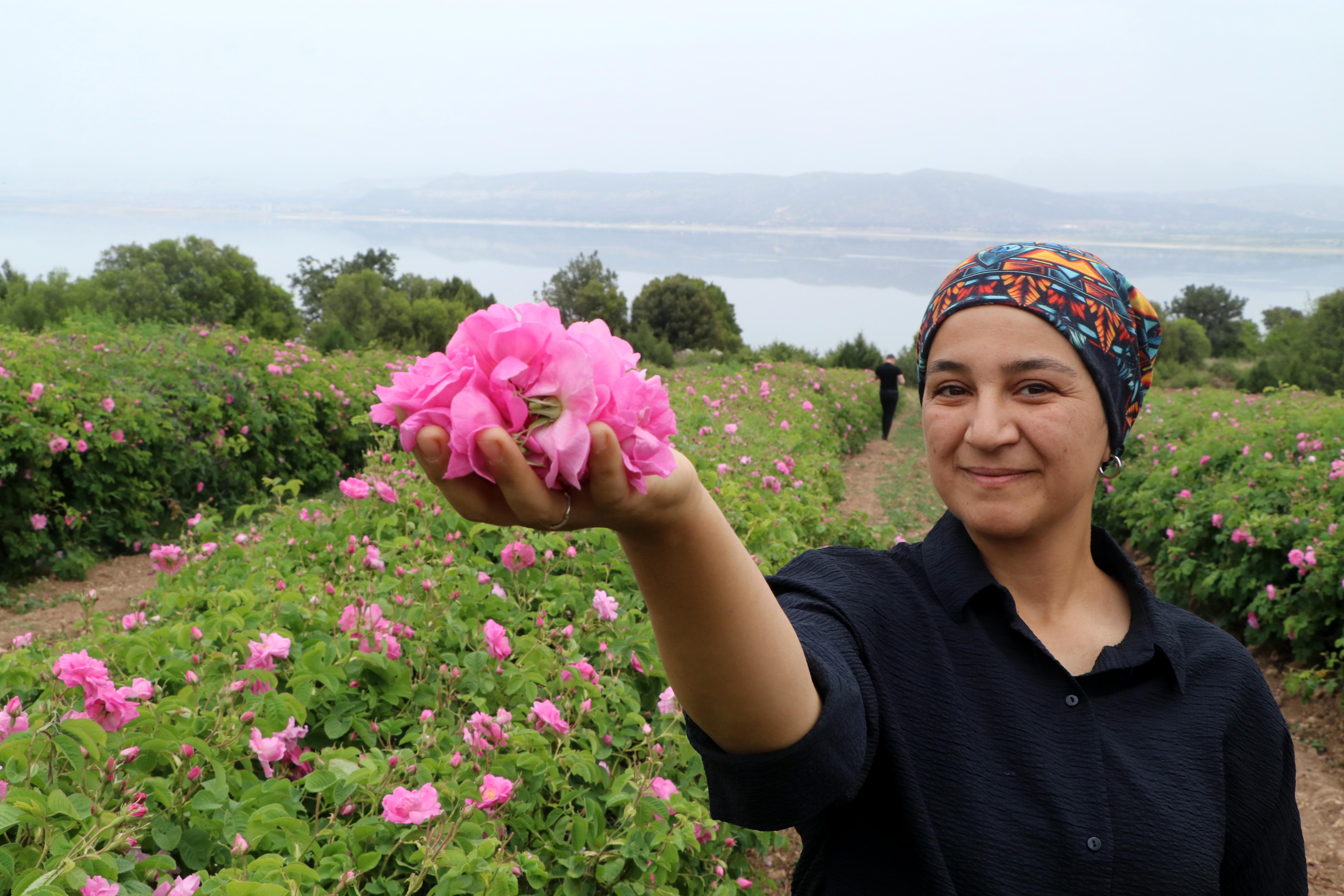 Tatil tercihinde yeni trend 'tarım turizmi' - Görsel 3