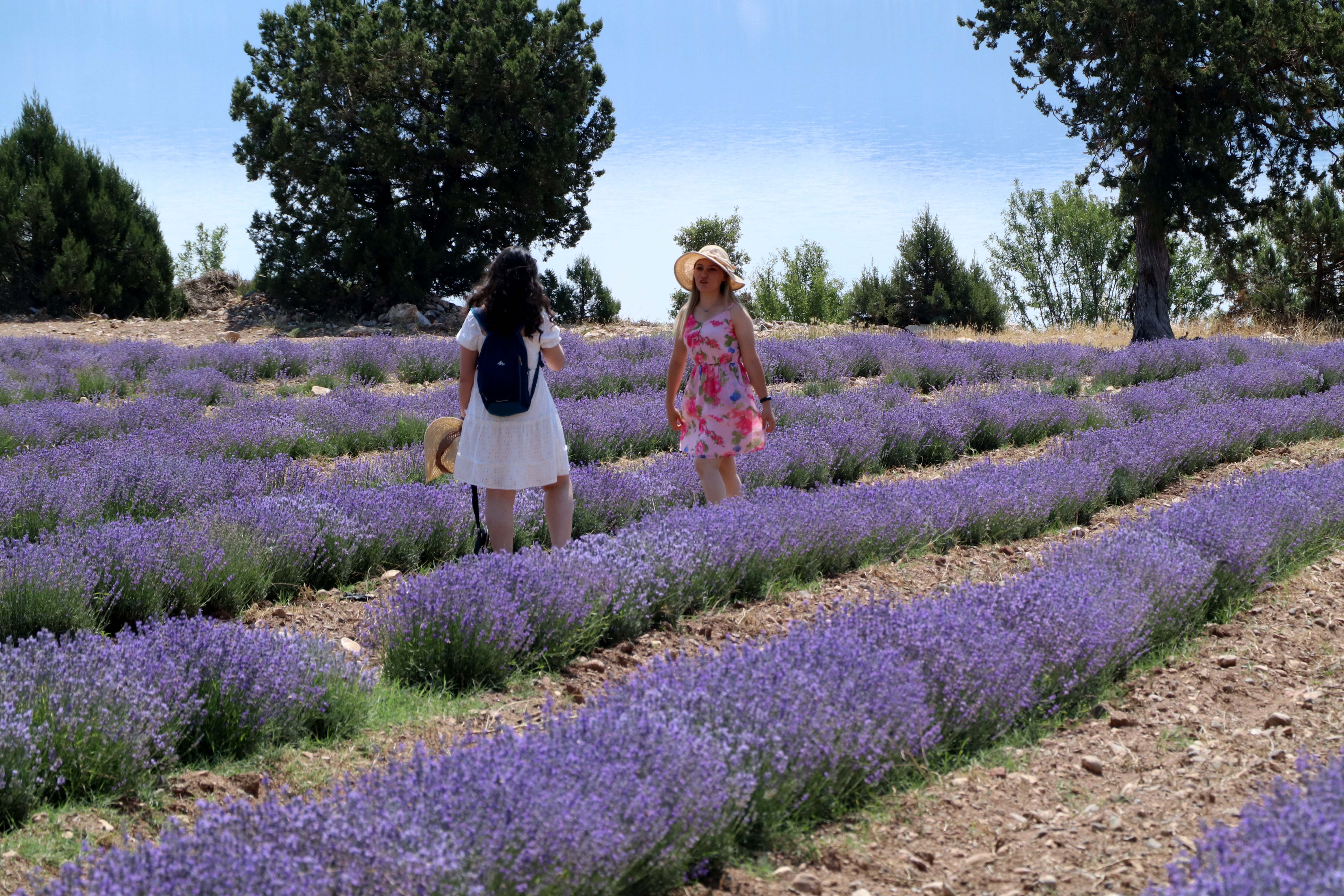 Tatil tercihinde yeni trend 'tarım turizmi' - Görsel 8