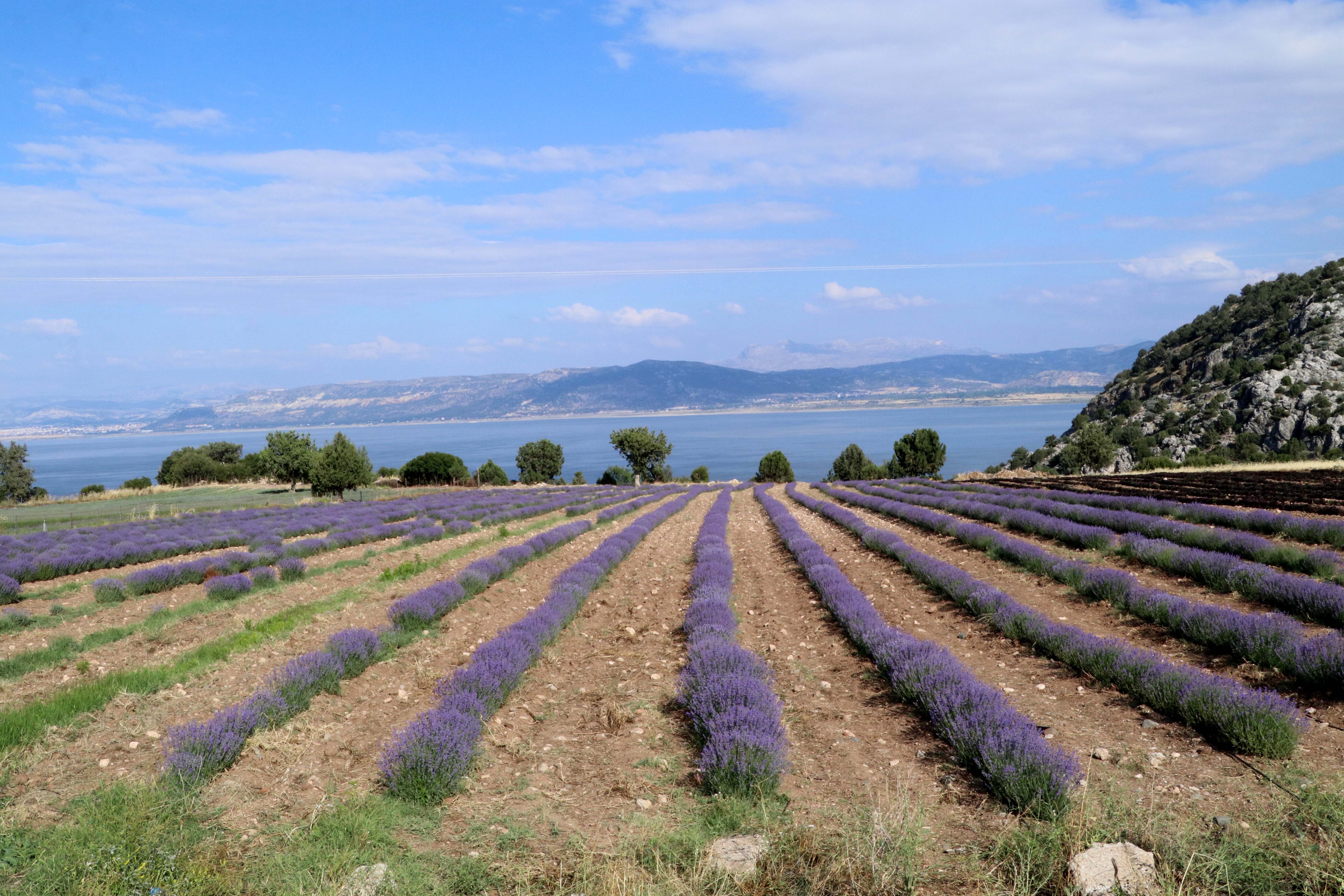 Tatil tercihinde yeni trend 'tarım turizmi' - Görsel 9