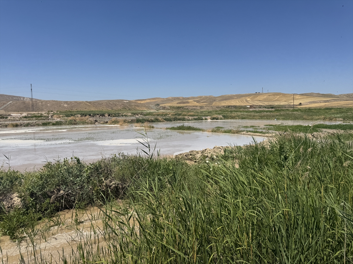 Çankırı'da HES kanalında duvarın çökmesi sonucu tarım arazileri zarar gördü - Görsel 5