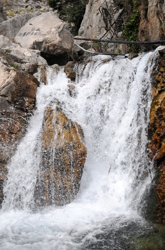 Dağ keçileriyle ünlü şelalede 'kuraklık' tehlikesi - Görsel 5