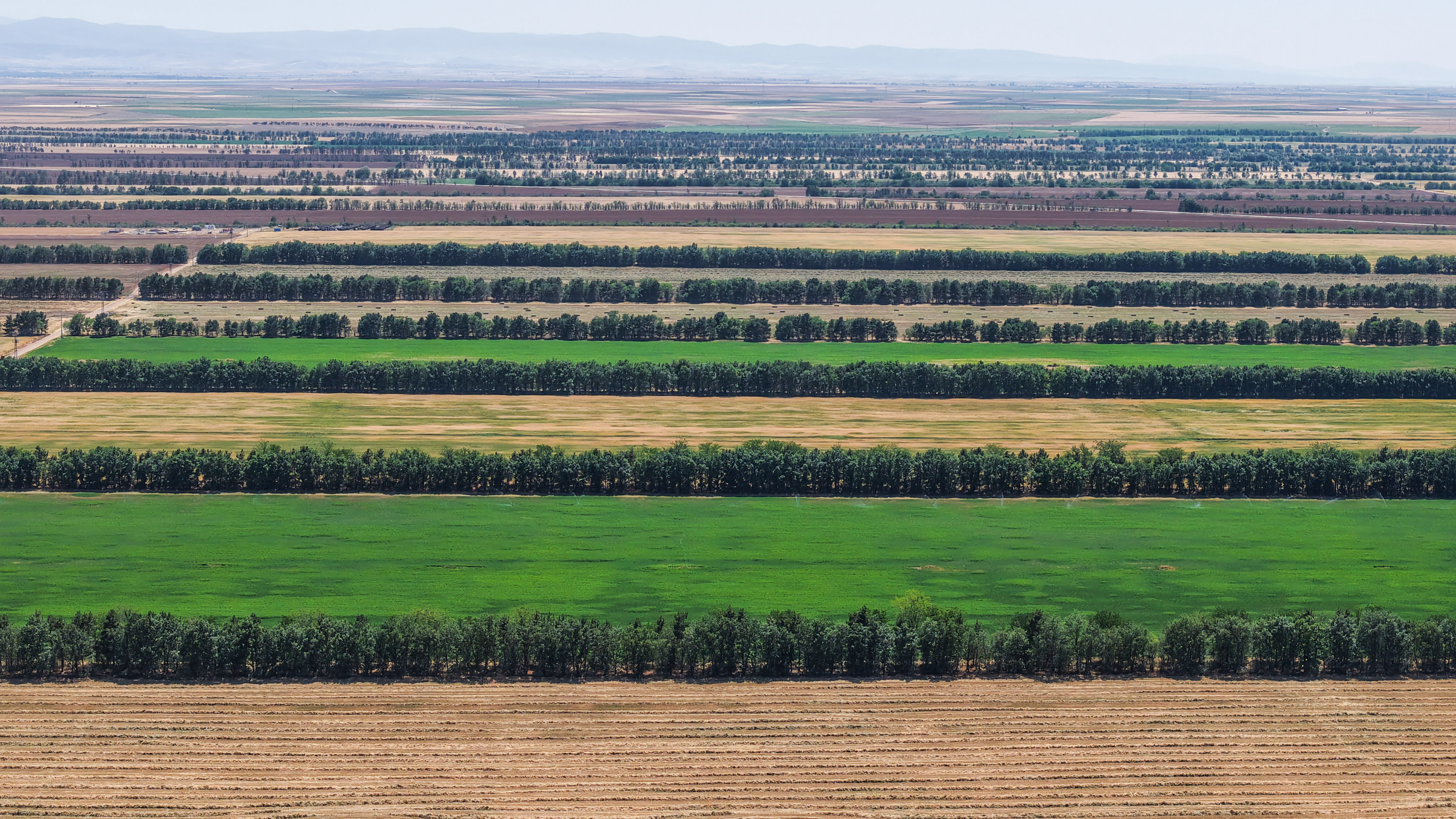 Konya'da TİGEM’de üretilen tohumların yüzde 45’i kuraklığa dayanıklı - Görsel 4