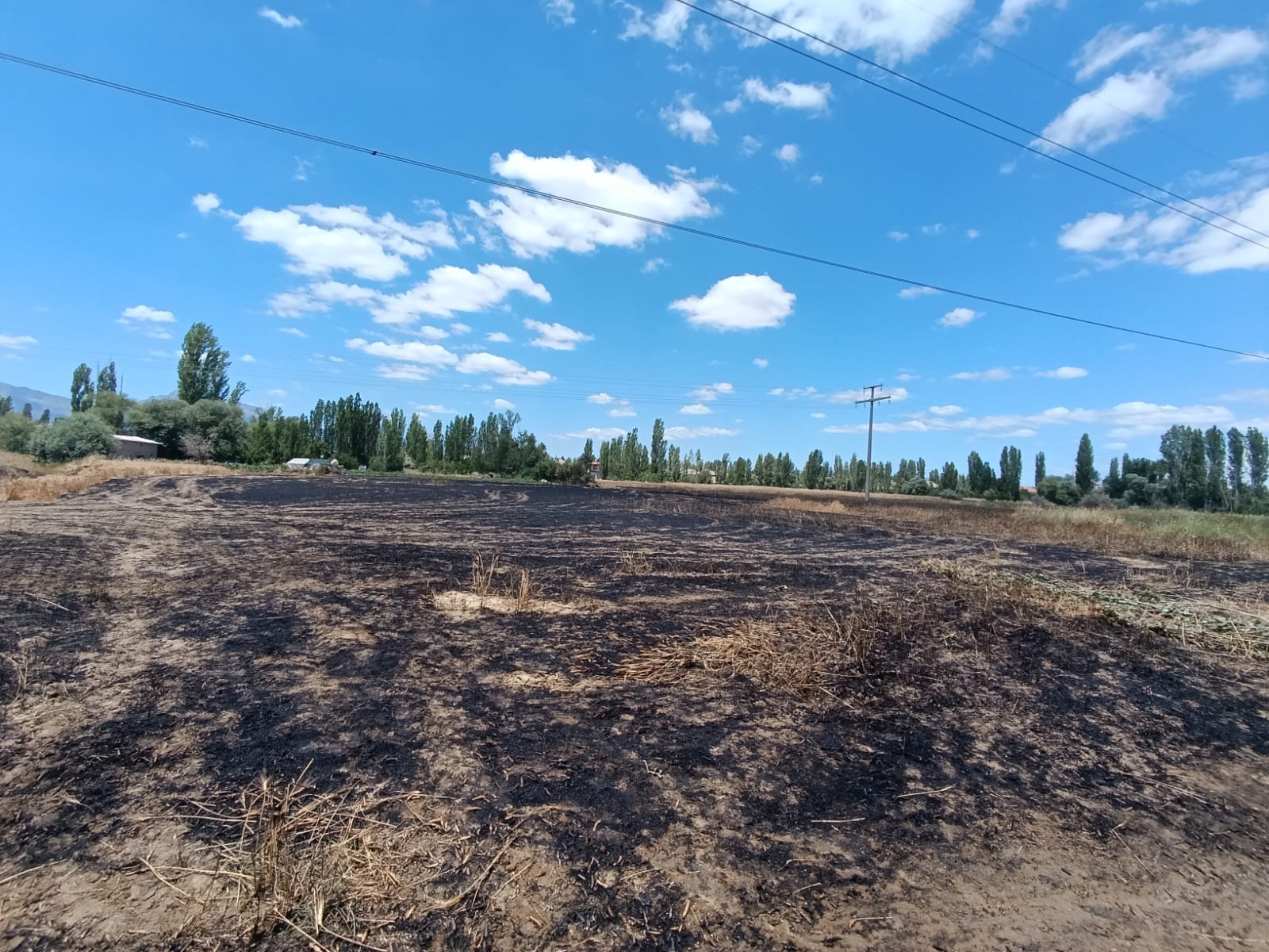 Seydişehir'de buğday tarlasında çıkan yangın söndürüldü - Görsel 1