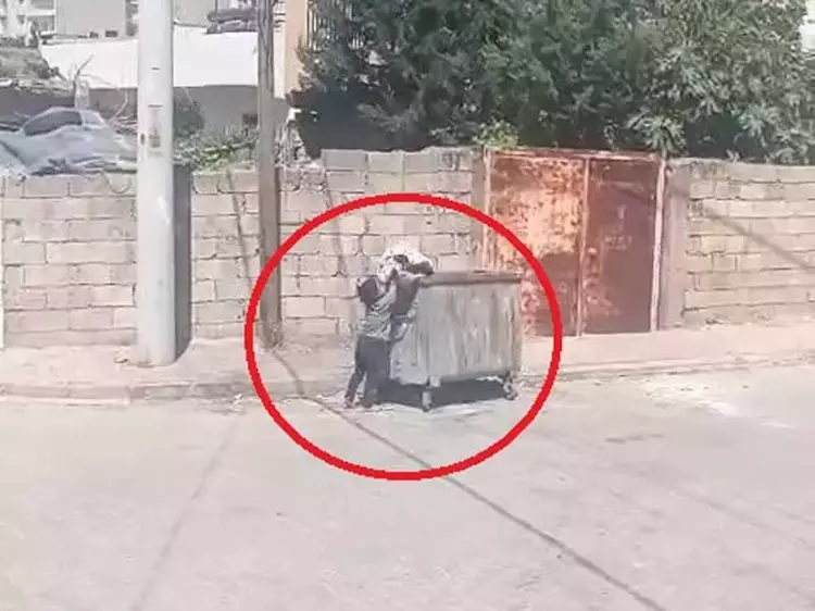 Yere atılan eski kilimi alıp çöp konteynerine bırakan kız çocuğuna belediyeden ödül - Görsel 6