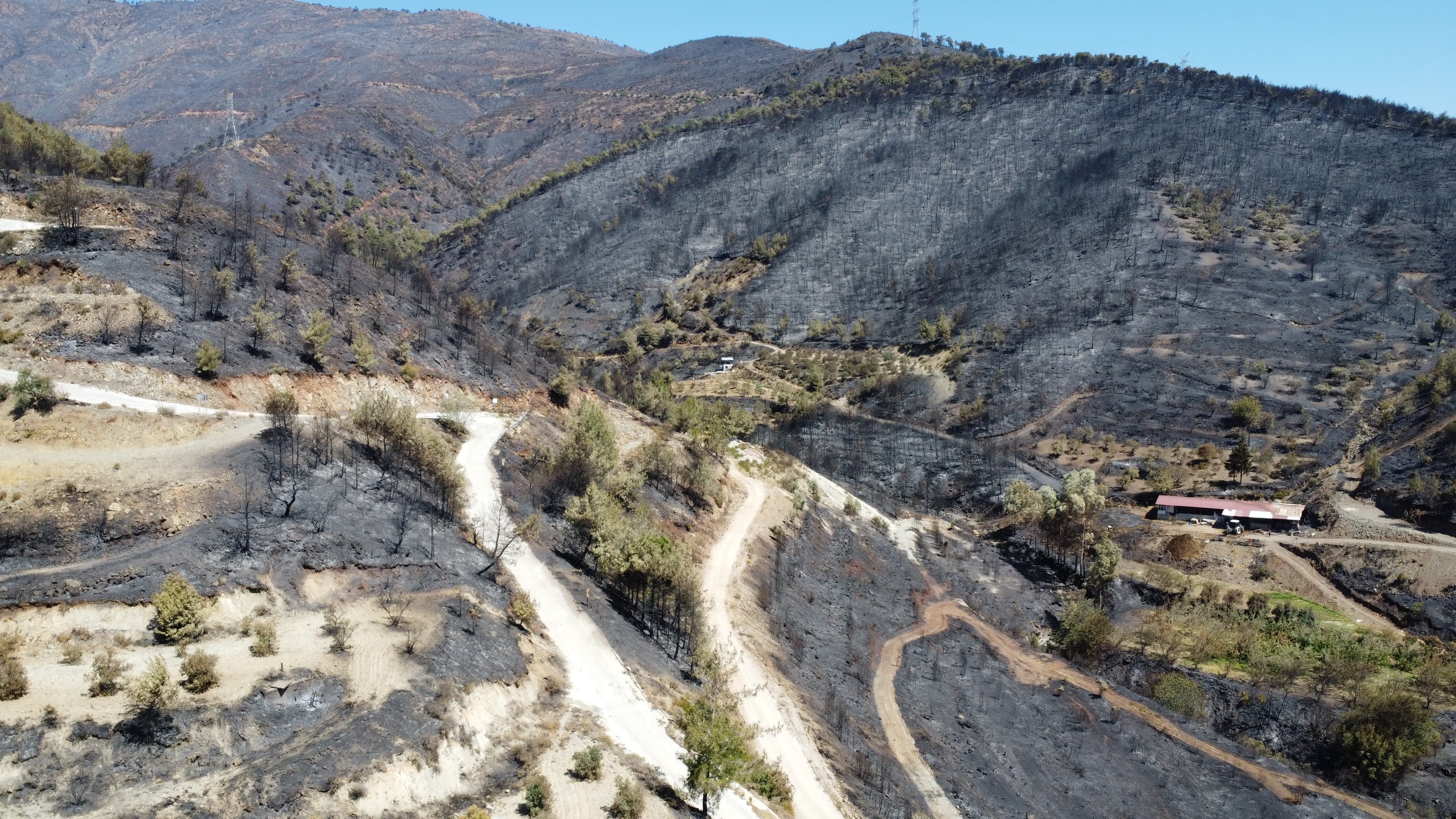Hatay'da yanan alanlar havadan görüntülendi - Görsel 1