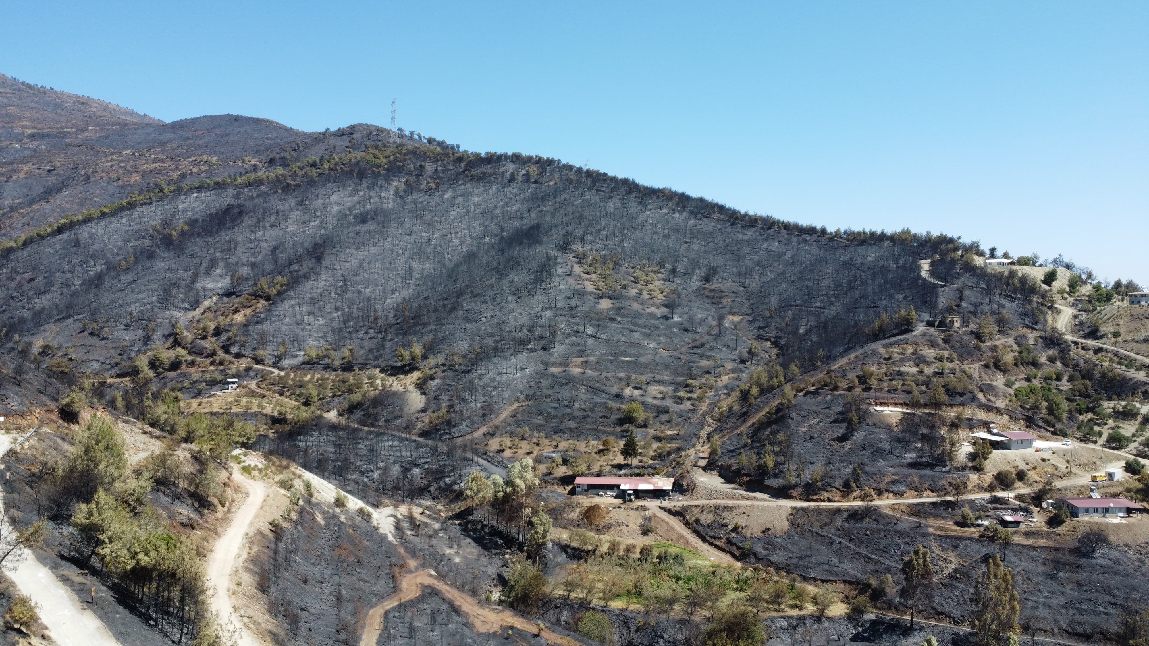 Hatay'da yanan alanlar havadan görüntülendi - Görsel 2