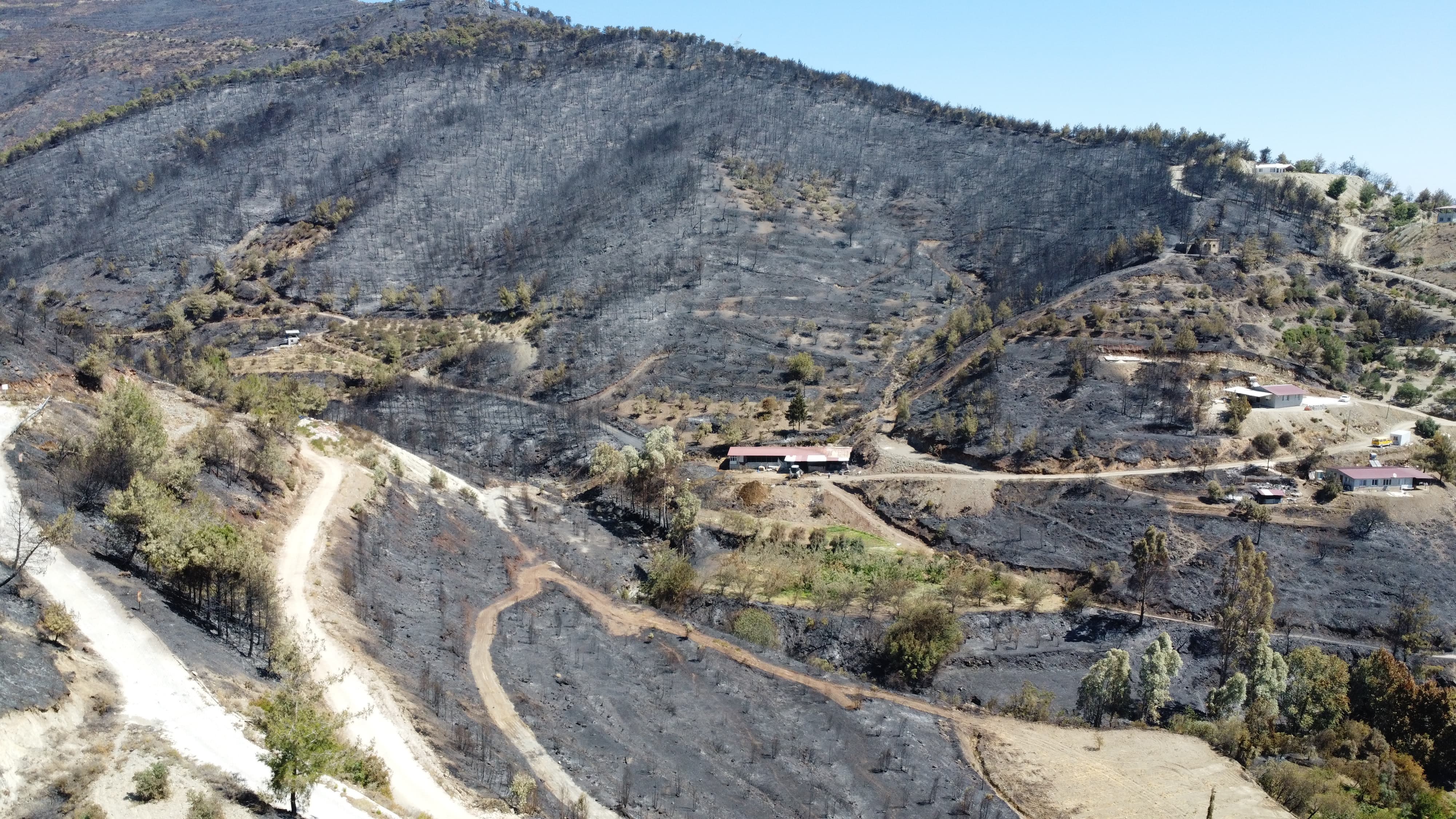 Hatay'da yanan alanlar havadan görüntülendi - Görsel 3