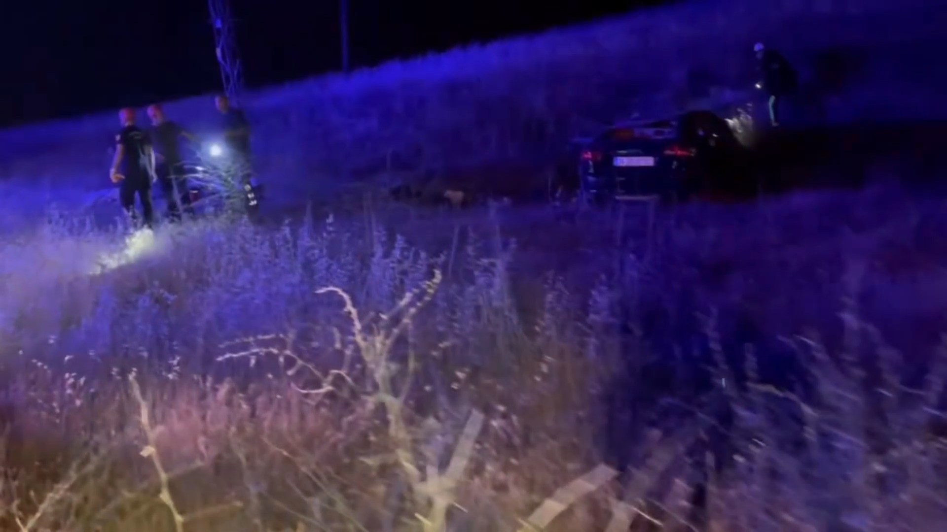 Elâzığ'da Devrilen otomobildeki dede ve torunu öldü - Görsel 1