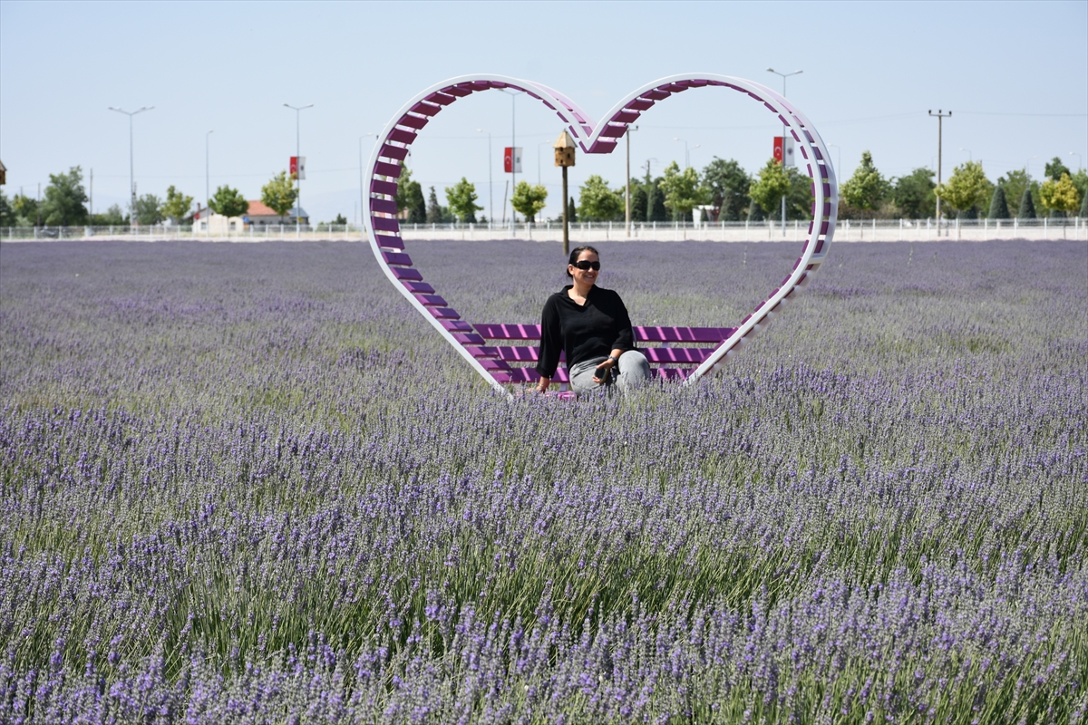 Karatay Lavanta Bahçesi yeni sezonda ziyaretçilerini ağırlıyor - Görsel 1