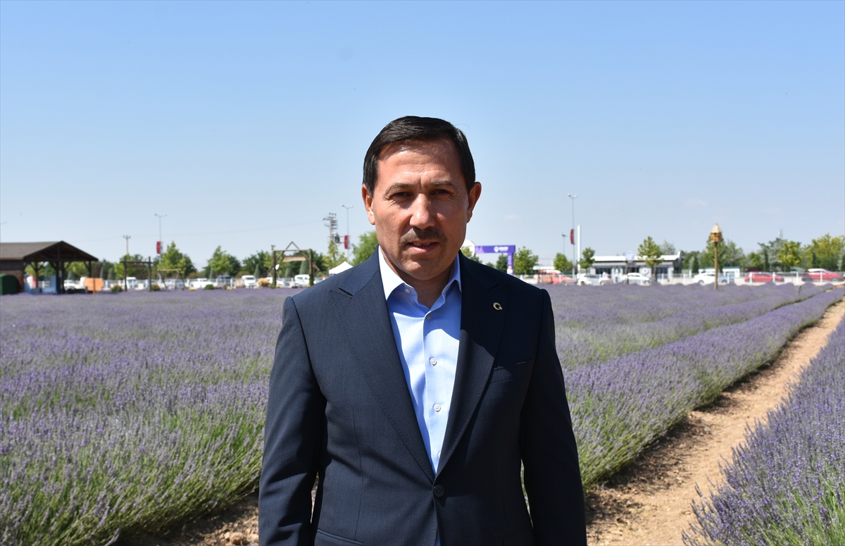 Karatay Lavanta Bahçesi yeni sezonda ziyaretçilerini ağırlıyor - Görsel 2