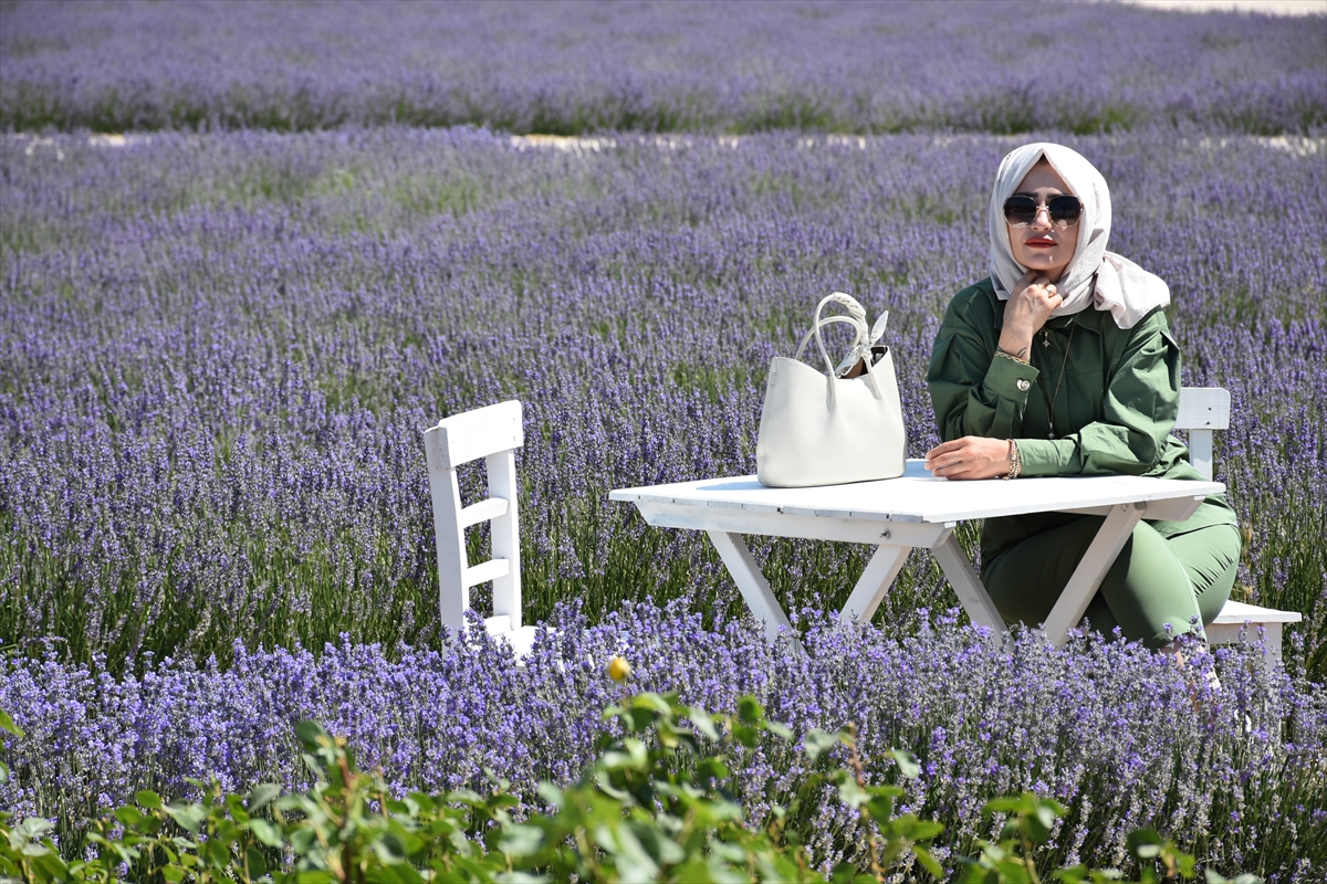 Karatay Lavanta Bahçesi yeni sezonda ziyaretçilerini ağırlıyor - Görsel 6