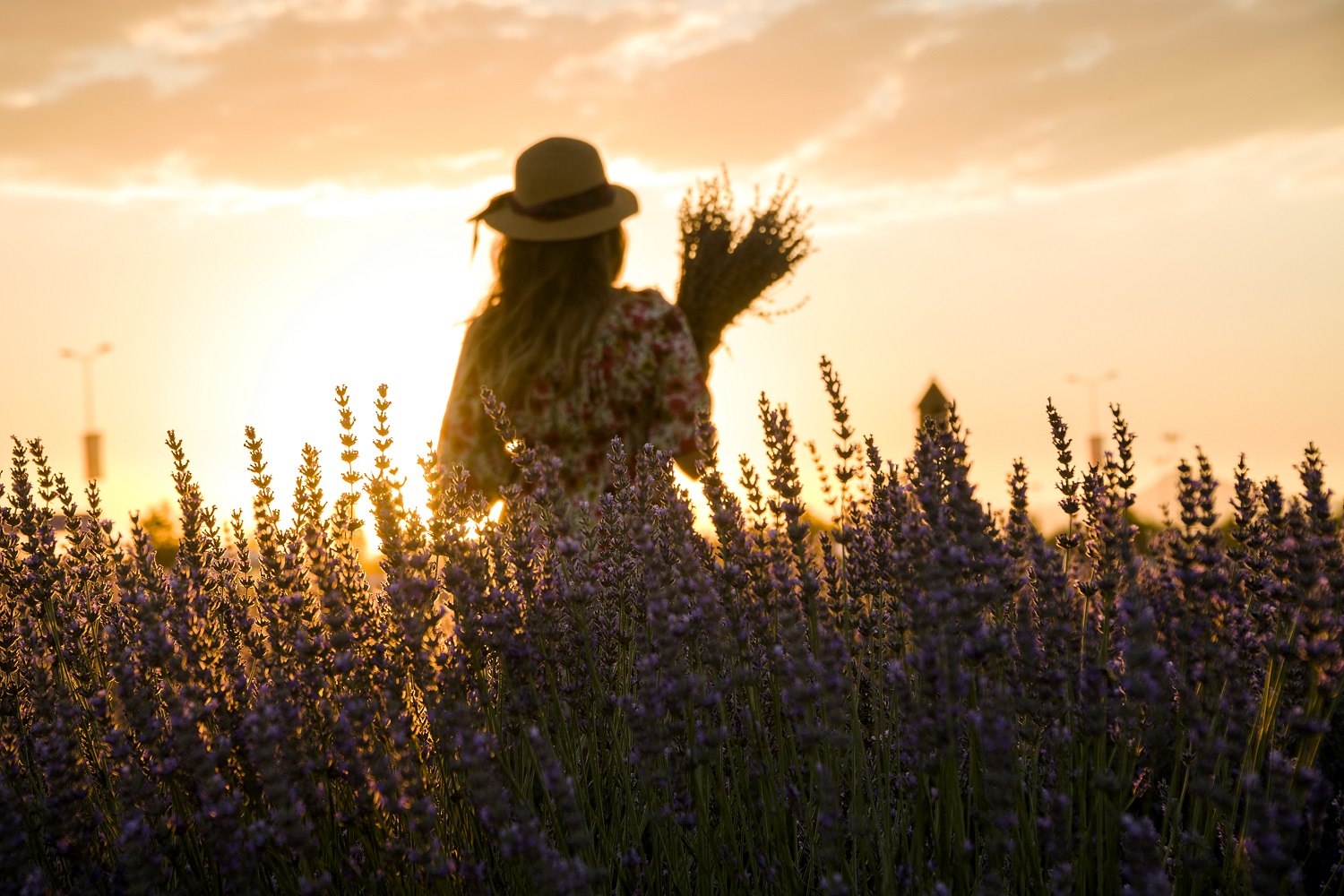 Karatay Lavanta Bahçesi yeni sezonda ziyaretçilerini ağırlıyor - Görsel 7