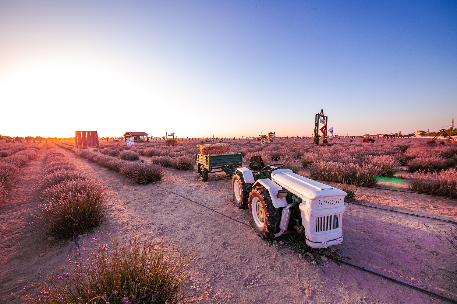 Karatay Lavanta Bahçesi yeni sezonda ziyaretçilerini ağırlıyor - Görsel 9