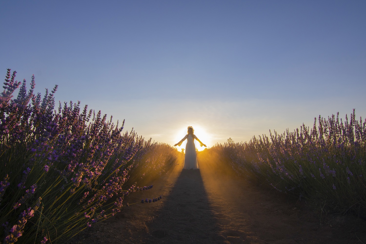 Karatay Lavanta Bahçesi yeni sezonda ziyaretçilerini ağırlıyor - Görsel 10