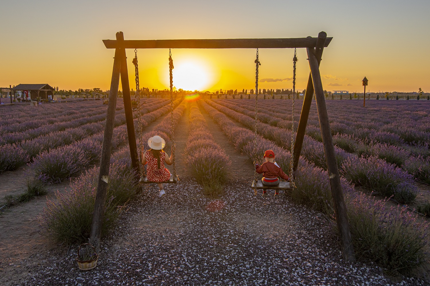 Karatay Lavanta Bahçesi yeni sezonda ziyaretçilerini ağırlıyor - Görsel 11