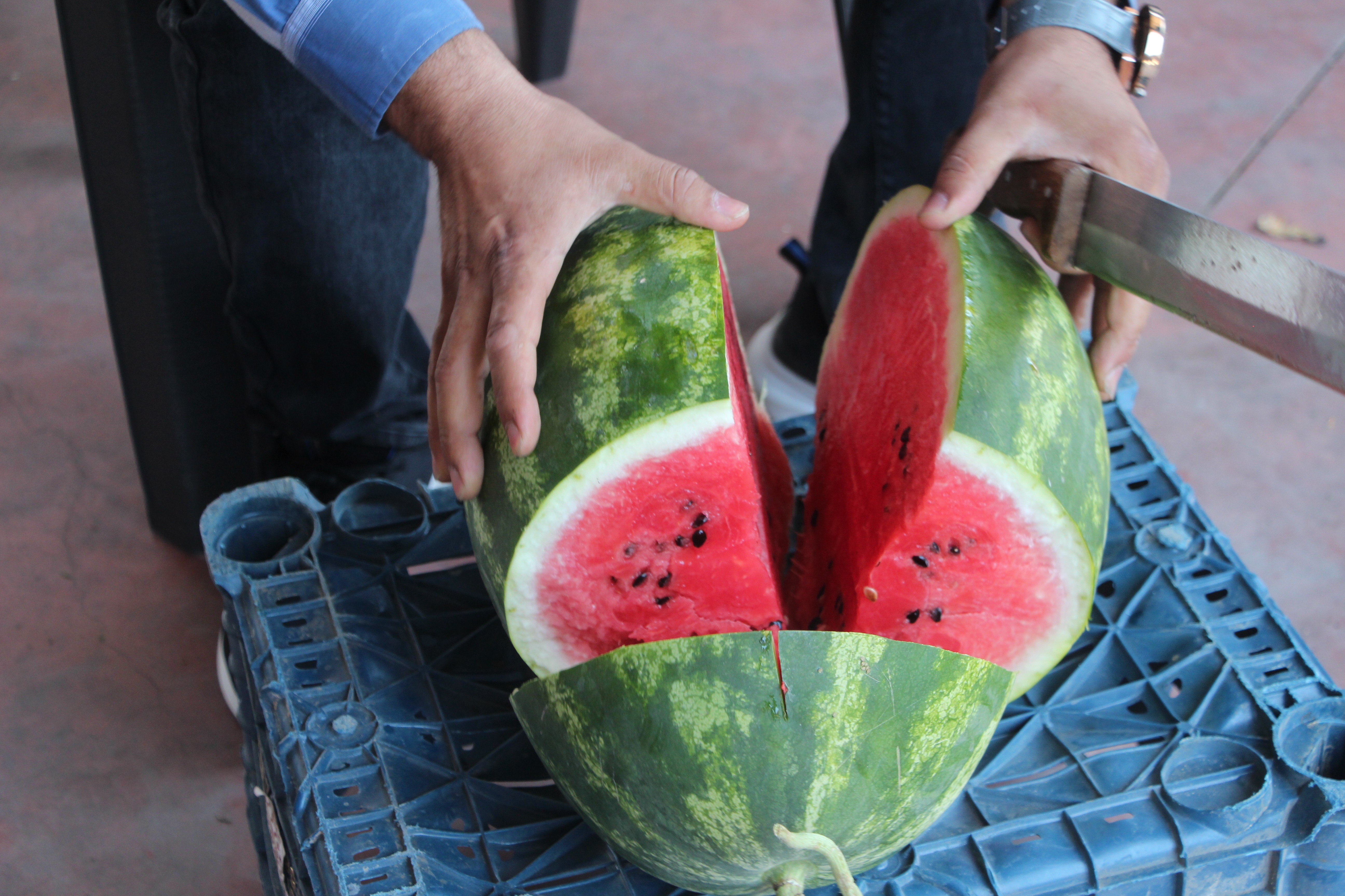 Adana-Halde kilosu 1 TL'ye düşen karpuz markette 14 TL - Görsel 5