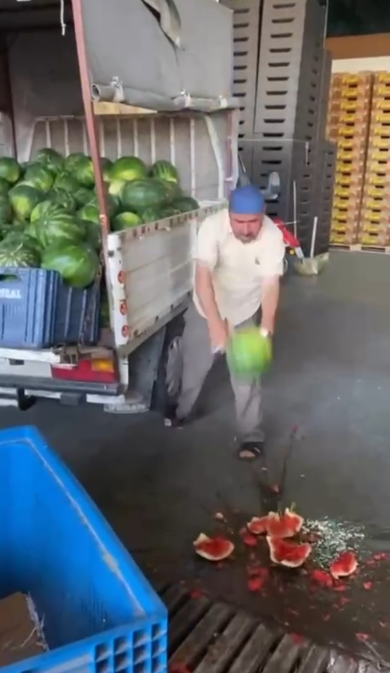 Adana-Halde kilosu 1 TL'ye düşen karpuz markette 14 TL - Görsel 9