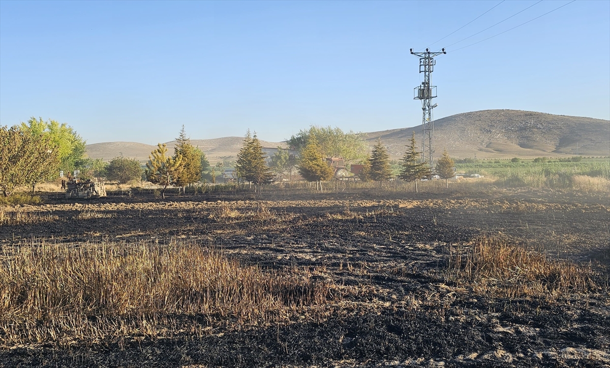 Konya'da buğday tarlasında çıkan yangın söndürüldü - Görsel 1