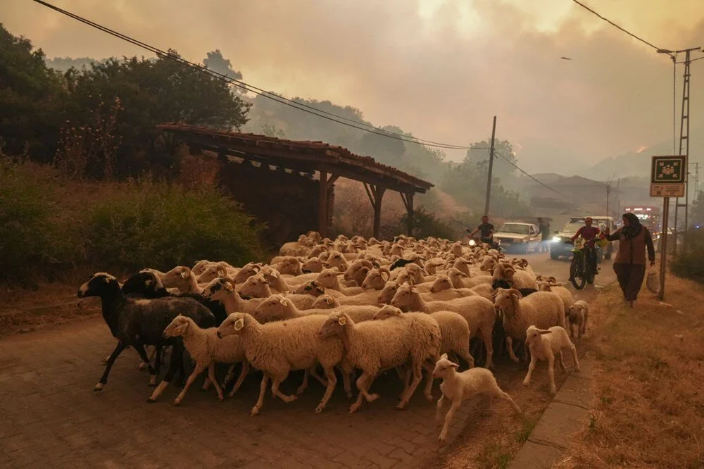 Ödemiş'te kahreden fotoğraflar: Alevlerden kaçış - Görsel 1