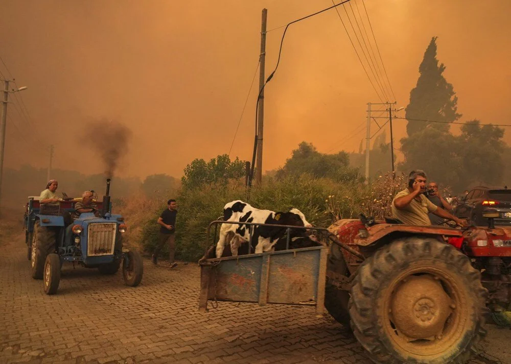 Ödemiş'te kahreden fotoğraflar: Alevlerden kaçış - Görsel 2
