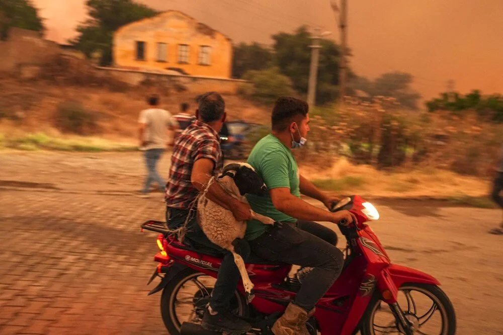 Ödemiş'te kahreden fotoğraflar: Alevlerden kaçış - Görsel 3