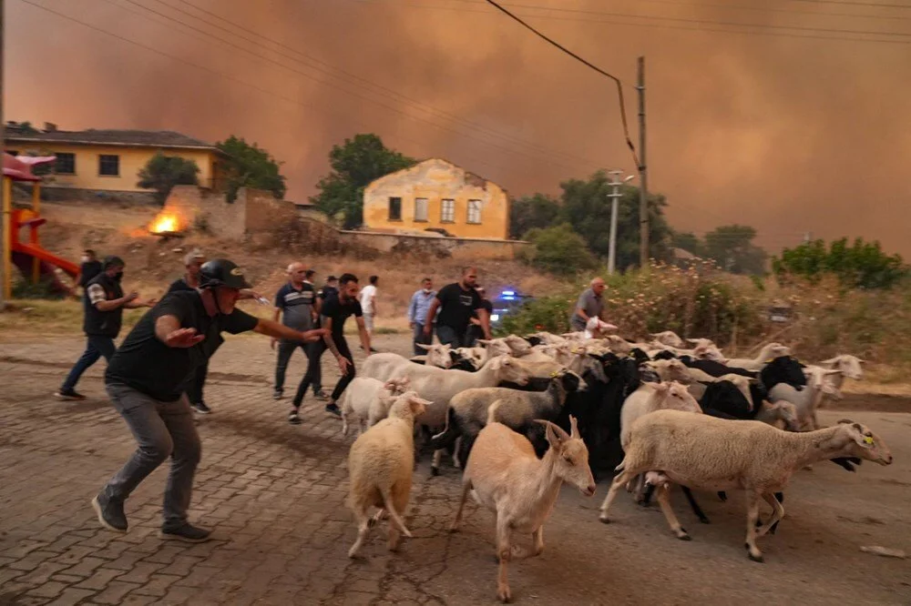 Ödemiş'te kahreden fotoğraflar: Alevlerden kaçış - Görsel 4