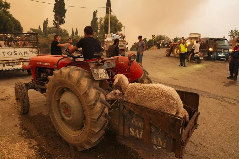 Ödemiş'te kahreden fotoğraflar: Alevlerden kaçış - Görsel 7