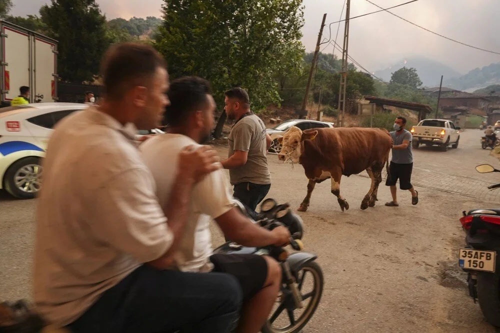 Ödemiş'te kahreden fotoğraflar: Alevlerden kaçış - Görsel 8