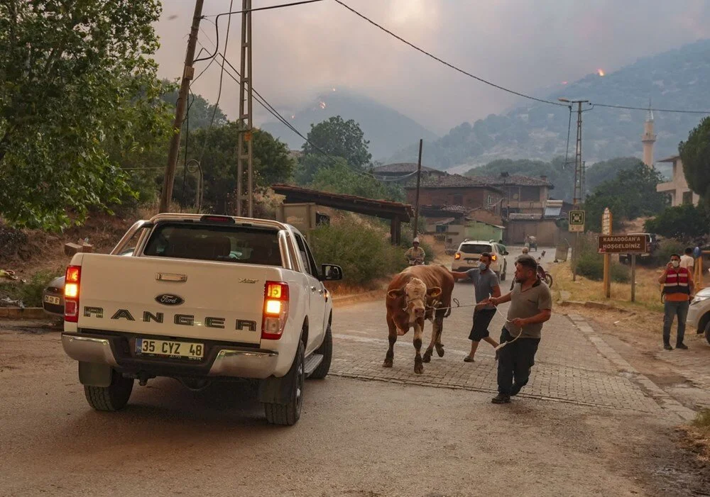 Ödemiş'te kahreden fotoğraflar: Alevlerden kaçış - Görsel 9