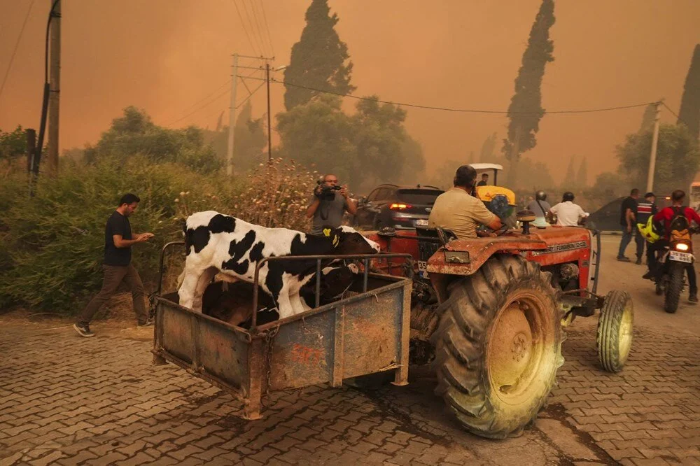 Ödemiş'te kahreden fotoğraflar: Alevlerden kaçış - Görsel 10