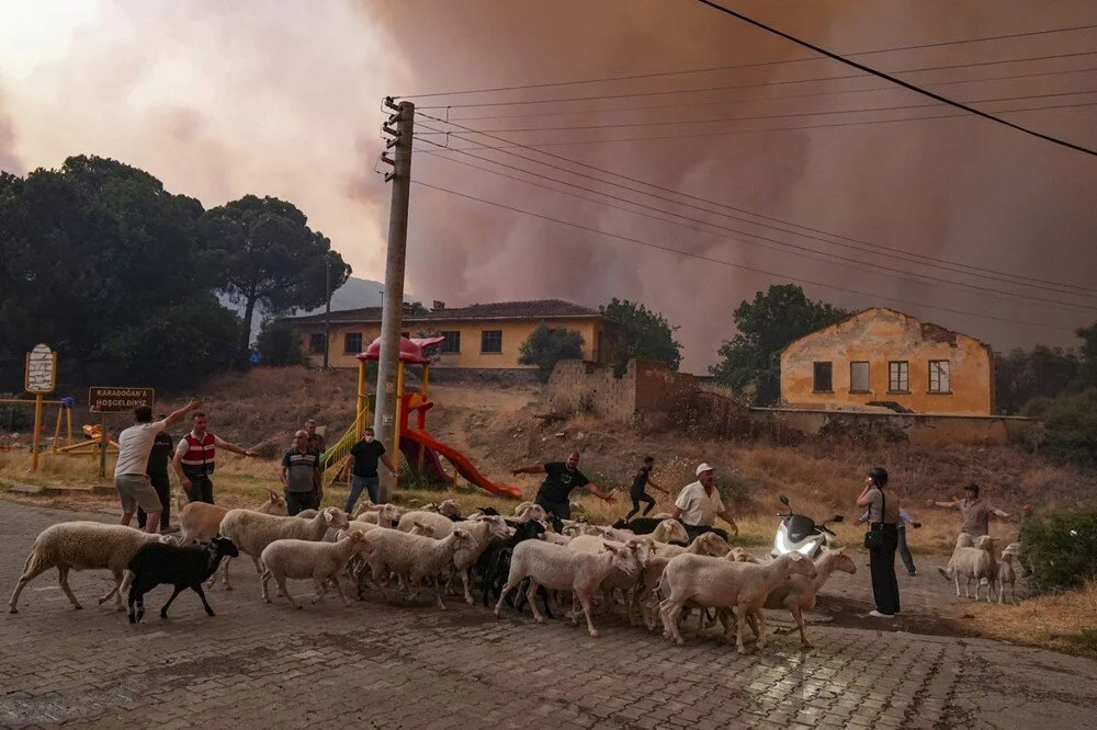 Ödemiş'te kahreden fotoğraflar: Alevlerden kaçış - Görsel 11