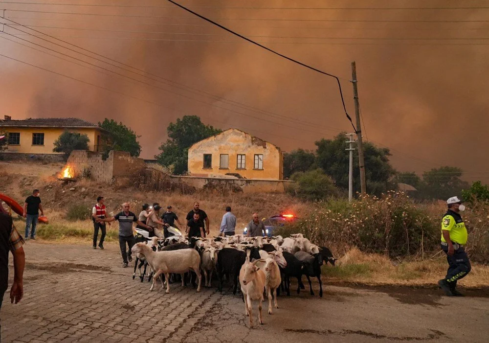 Ödemiş'te kahreden fotoğraflar: Alevlerden kaçış - Görsel 12