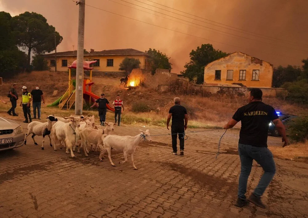 Ödemiş'te kahreden fotoğraflar: Alevlerden kaçış - Görsel 13