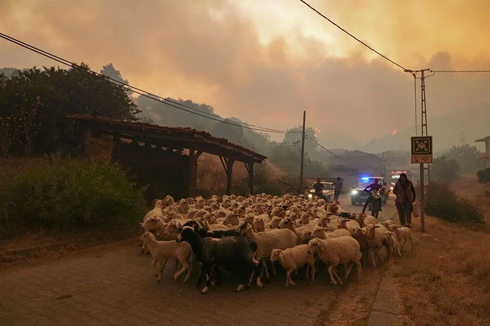 Ödemiş'te kahreden fotoğraflar: Alevlerden kaçış - Görsel 14