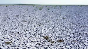 Konya- Kuruyan Akşehir Gölü, kara parçasına dönüştü - Görsel 1