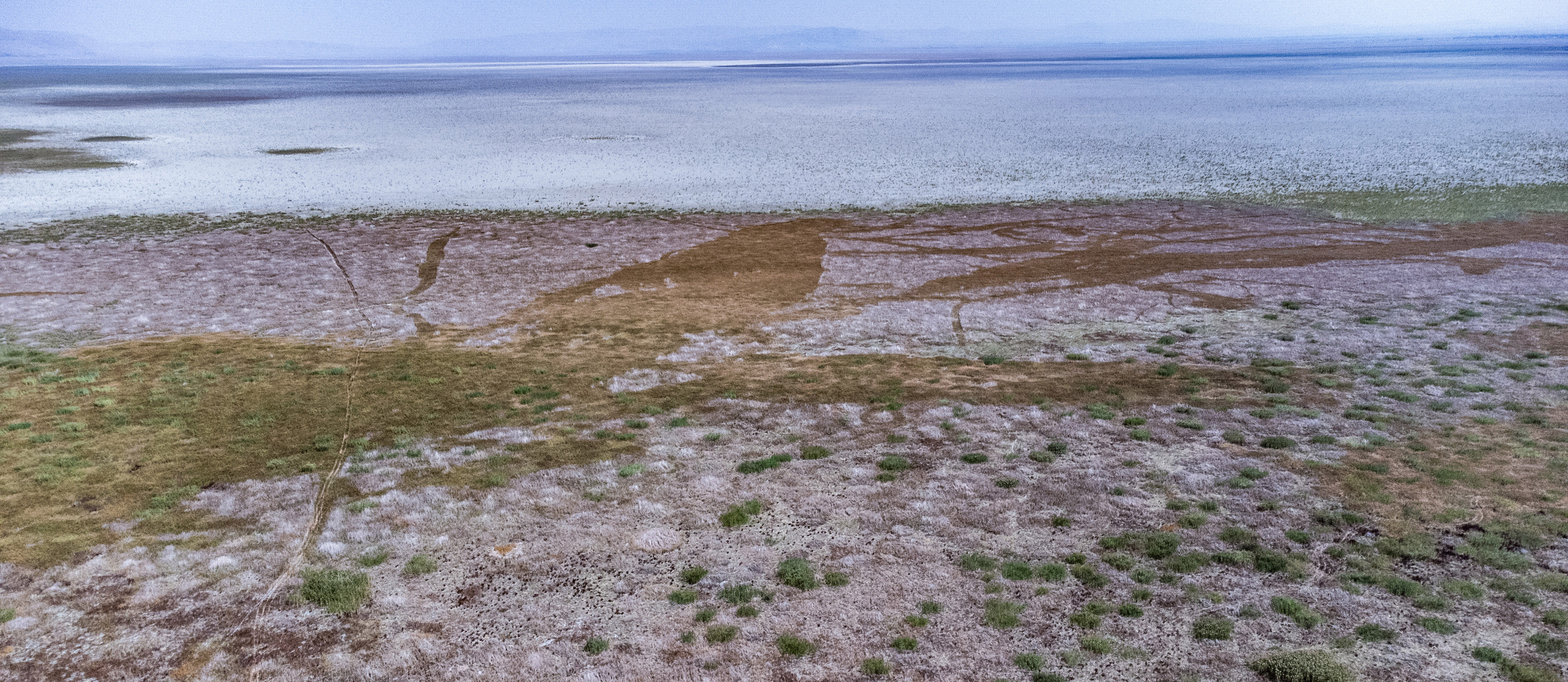 Konya- Kuruyan Akşehir Gölü, kara parçasına dönüştü - Görsel 7