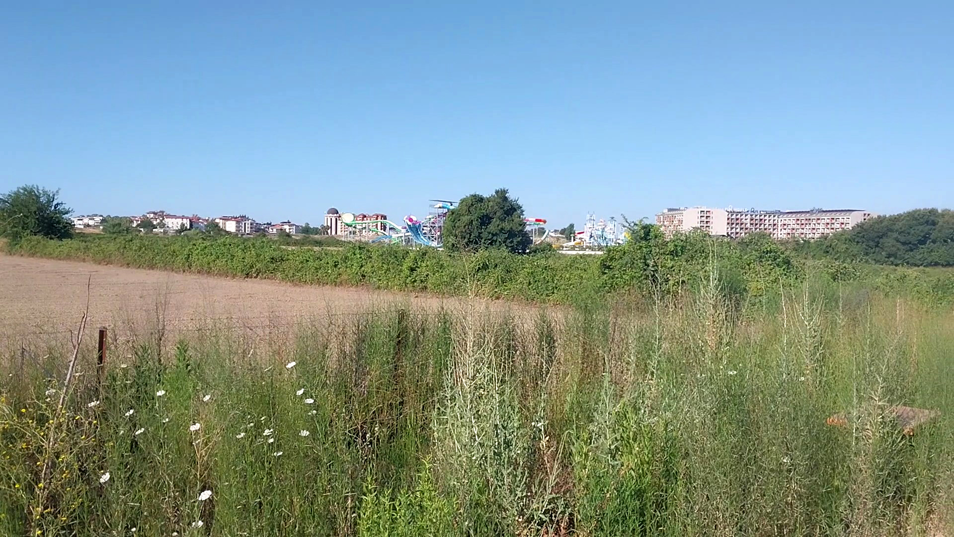 Hayvan parkından kaçan aslan öldürüldü, saldırdığı kişi yaralandı - Görsel 6