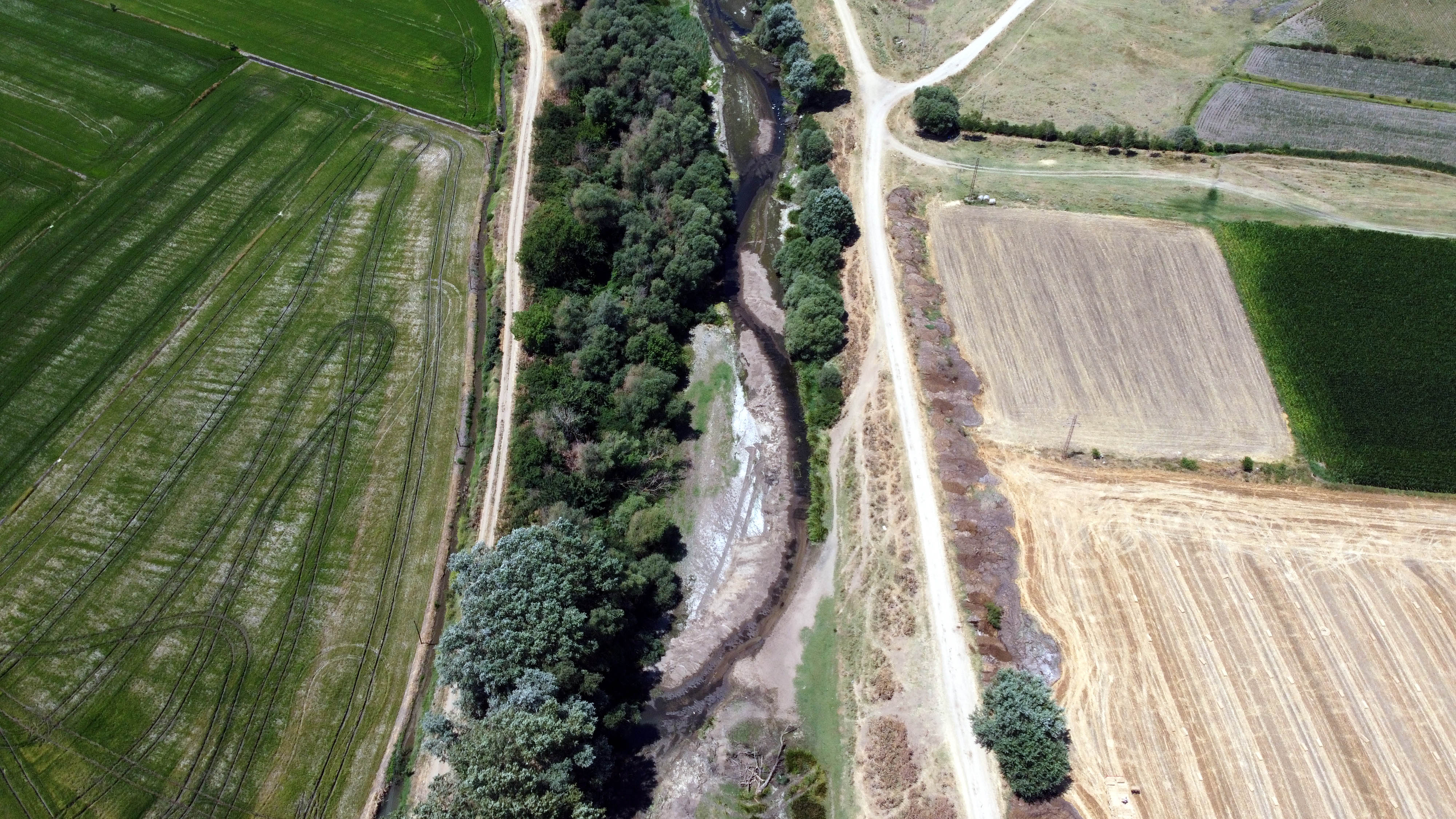 Tunca Nehri'nin kuruma noktasına geldiği Edirne’de çeltik üreticisi endişeli - Görsel 2