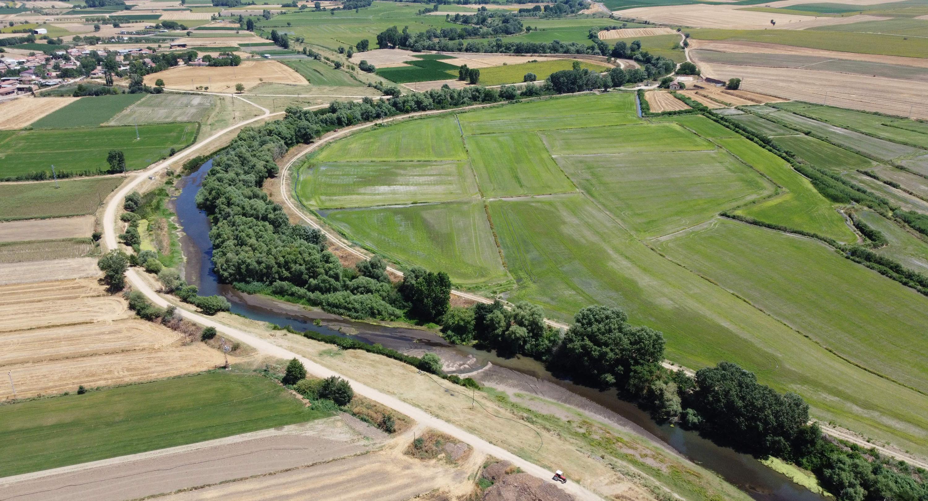 Tunca Nehri'nin kuruma noktasına geldiği Edirne’de çeltik üreticisi endişeli - Görsel 5