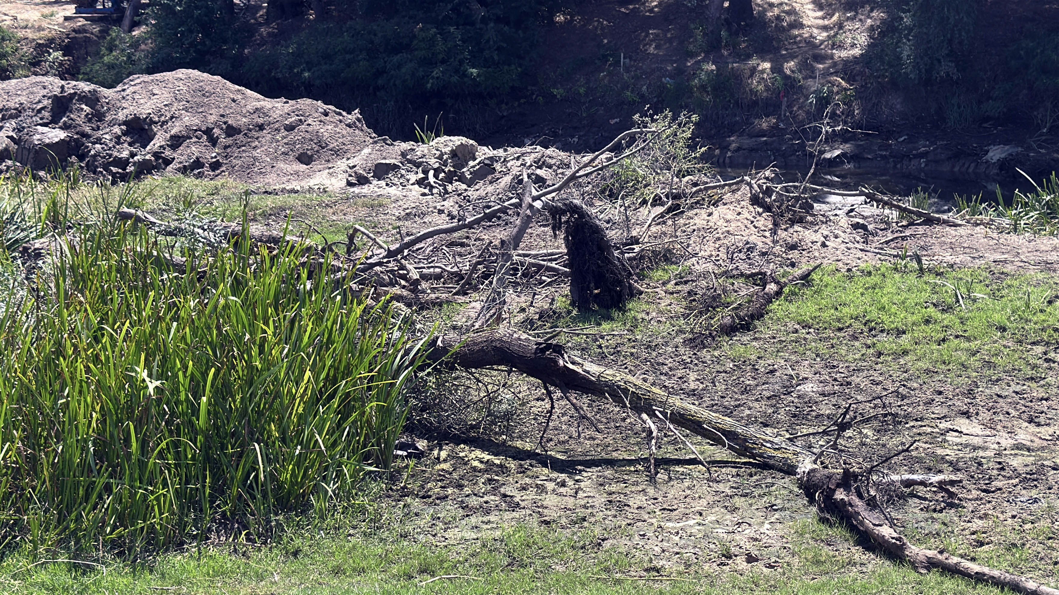 Tunca Nehri'nin kuruma noktasına geldiği Edirne’de çeltik üreticisi endişeli - Görsel 9