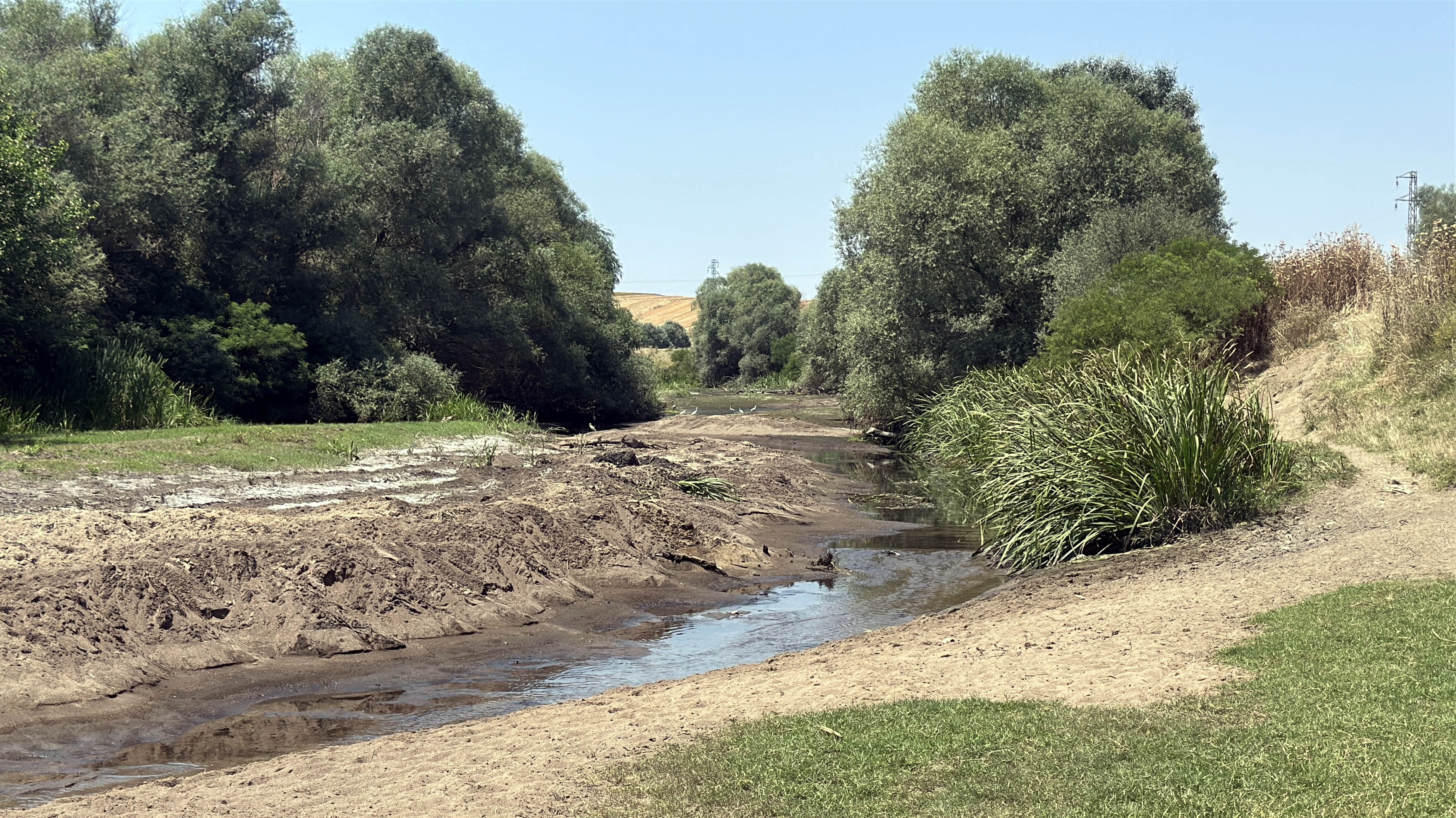 Tunca Nehri'nin kuruma noktasına geldiği Edirne’de çeltik üreticisi endişeli - Görsel 11