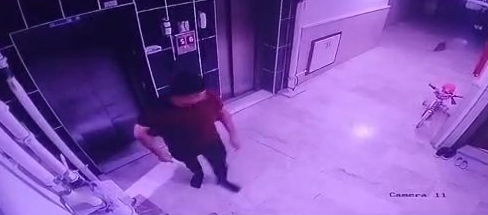 Konya'da kediye şiddet uygulayan şüpheli yakalandı - Görsel 4