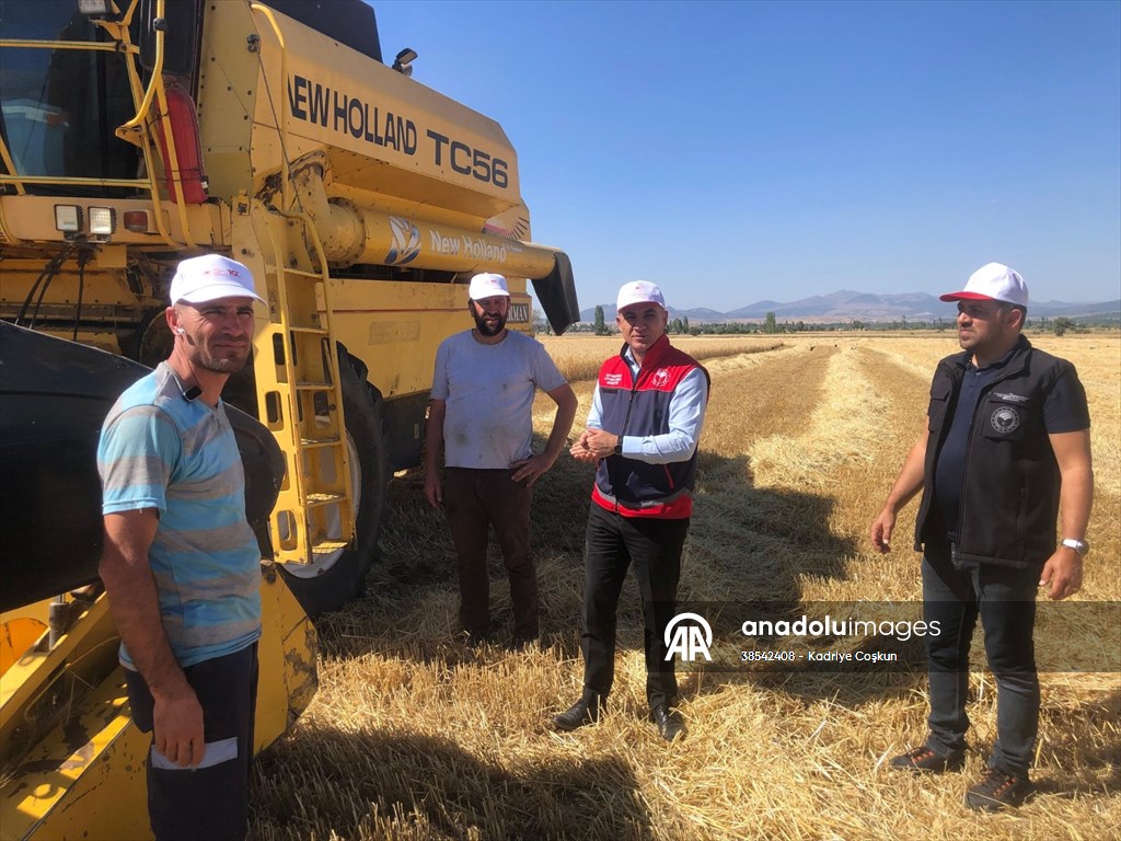 Seydişehir'de Hububat ve Bakliyat Tarlalarında İnceleme - Görsel 1