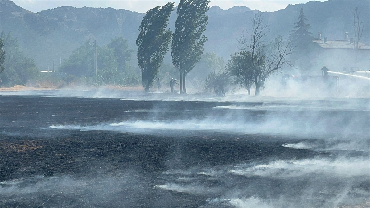 Seydişehir'de Anız Yangını Panik Yarattı: Binalara Sıçramadan Kontrol Altına Alındı - Görsel 11